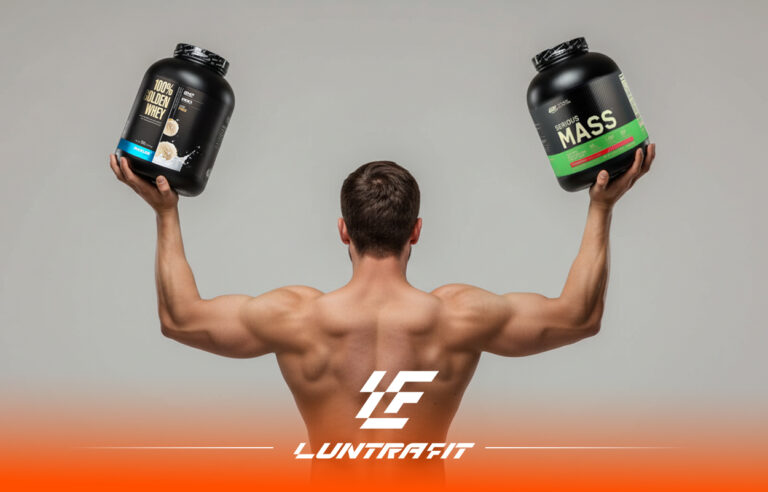 تفاوت وی و گینر در عضله‌ سازی